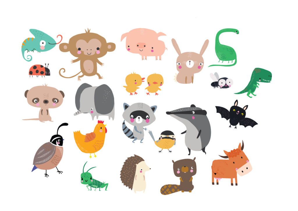Animals